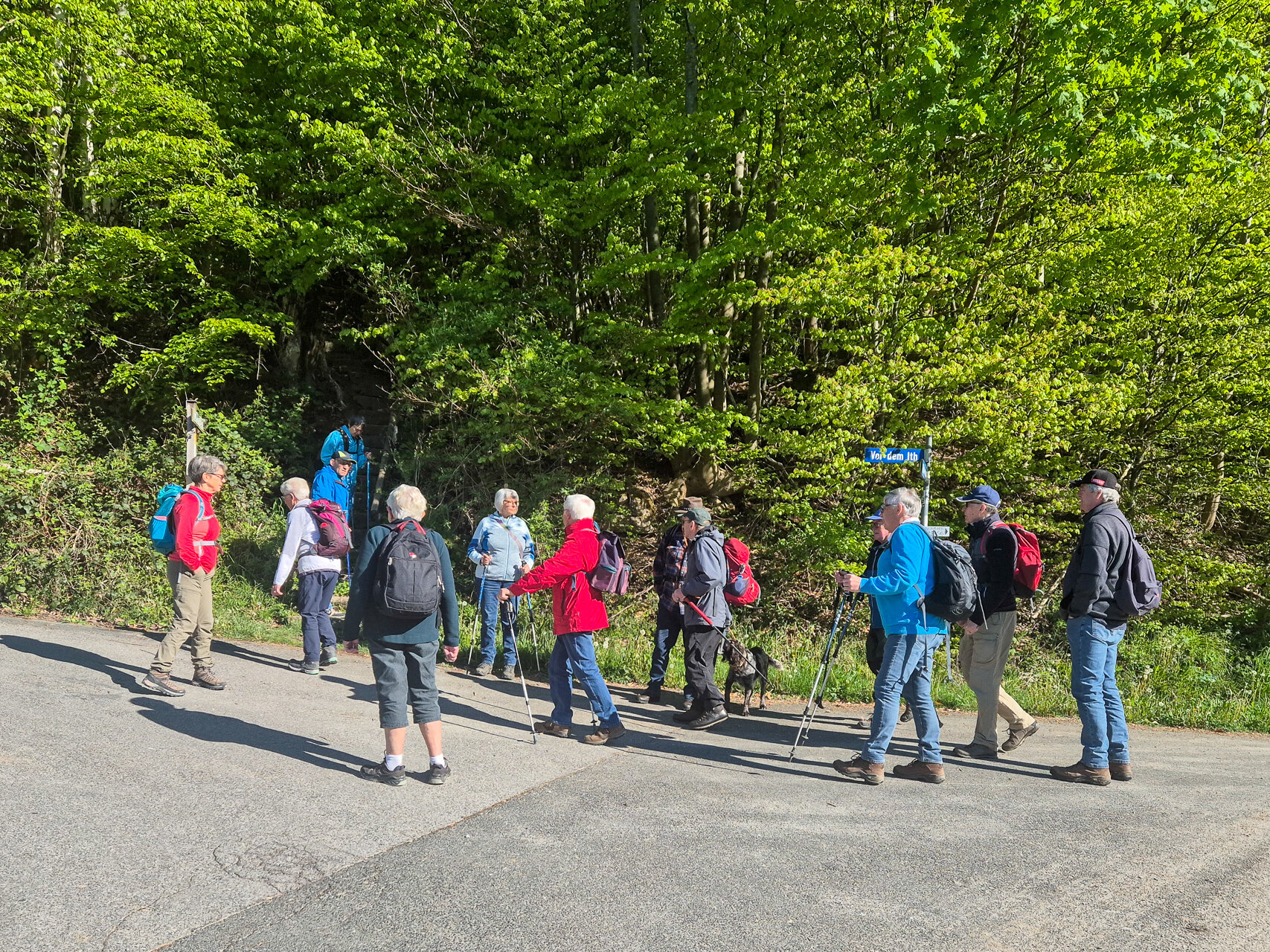 Vom Startpunkt geht es direkt in den Wald