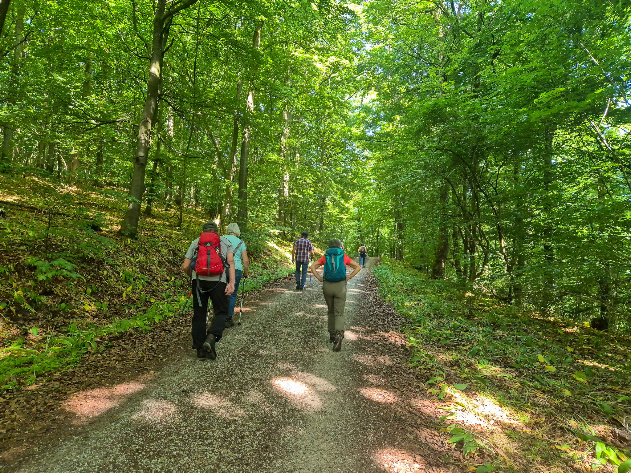 Vom Startpunkt ging es direkt in den schattigen Wald