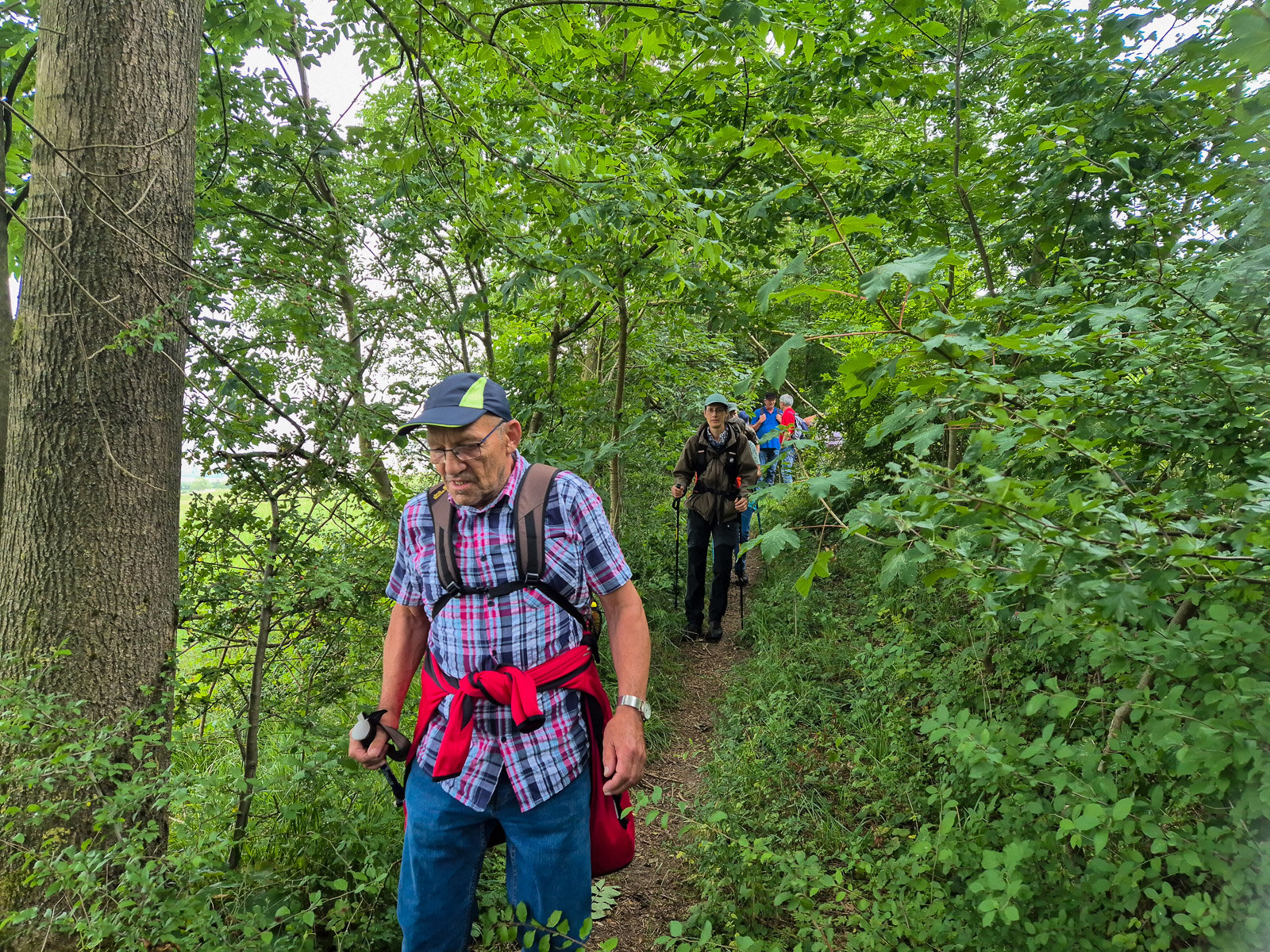 Waldweg zu Beginn
