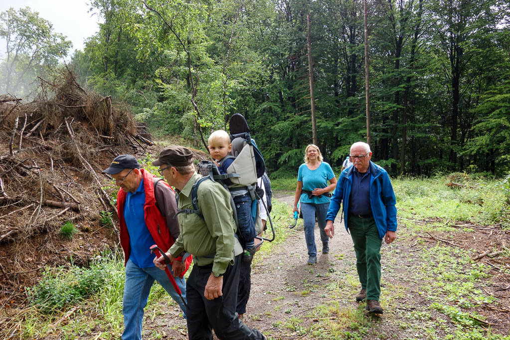 Wandergruppe oben im Hils