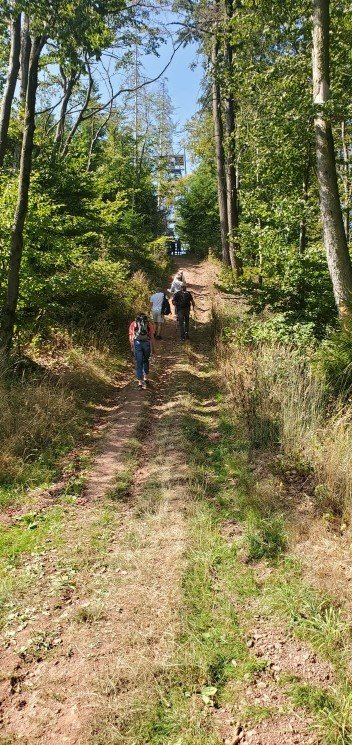 Wanderung im Weserbergland