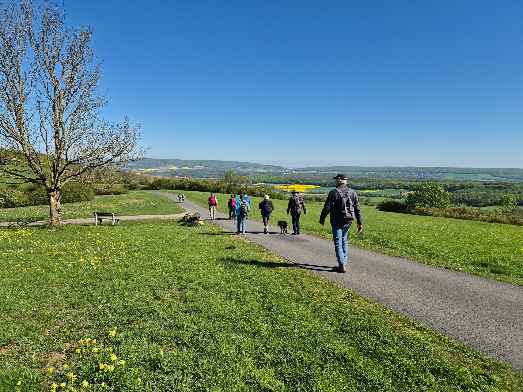 Weg entlang des Fluggeländes Ithwiesen