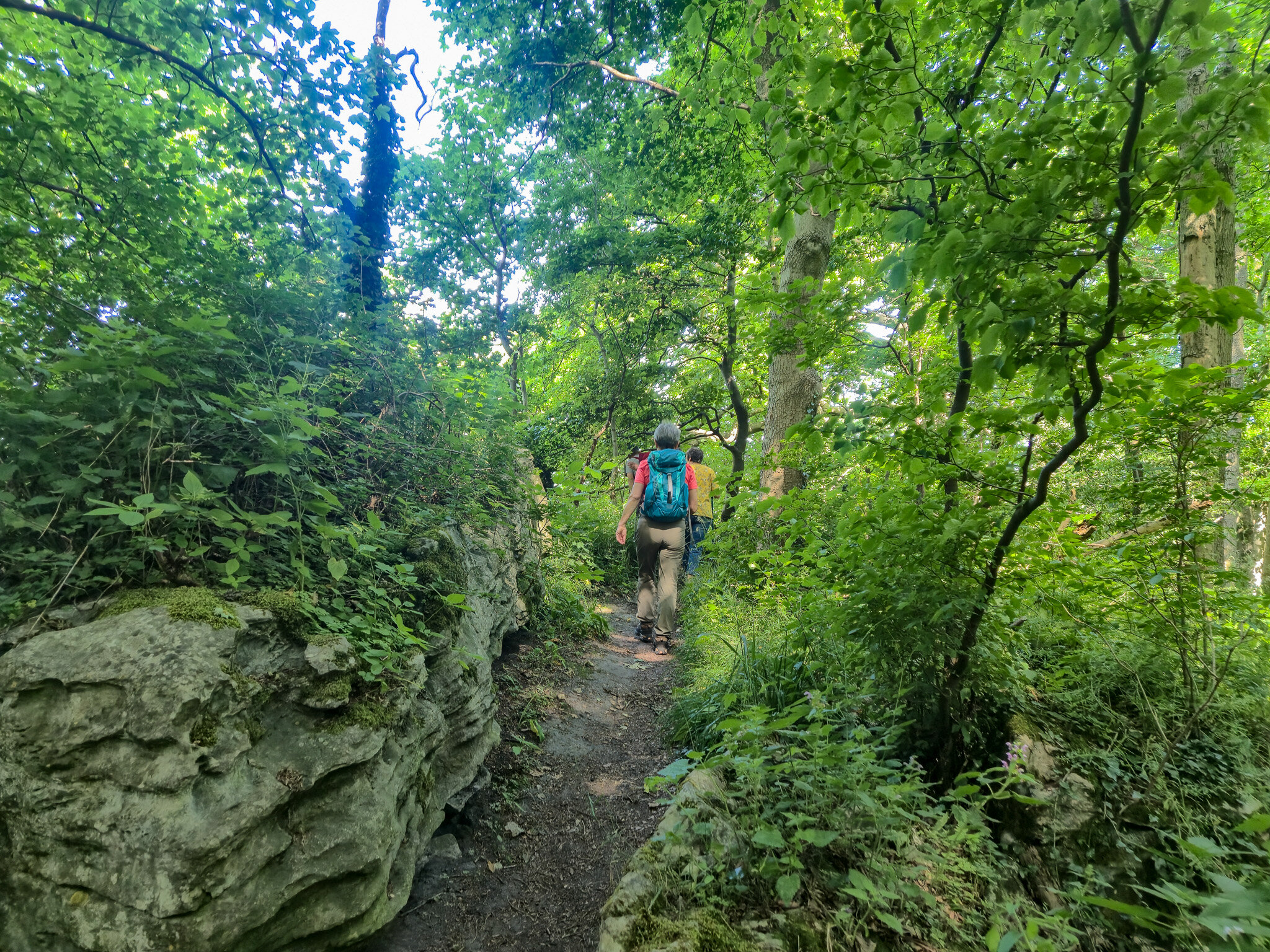 Wir wandern auf naturnahen Pfaden