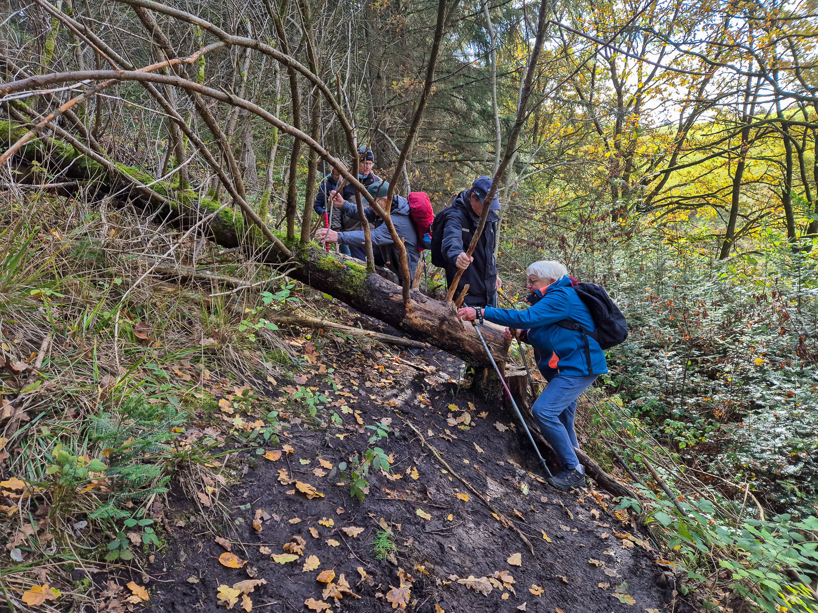 Über Stock und Stein