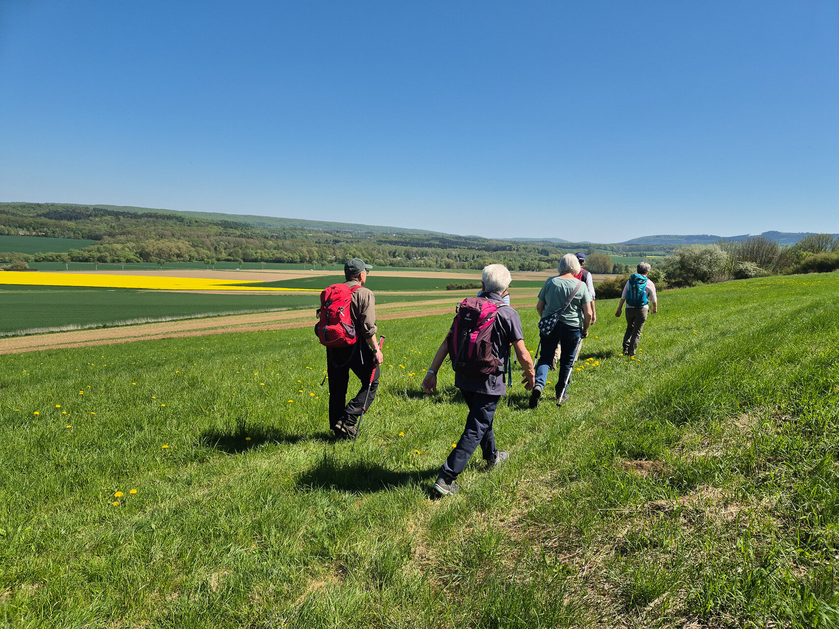 Über Wiesen geht es Richtung Wallensen