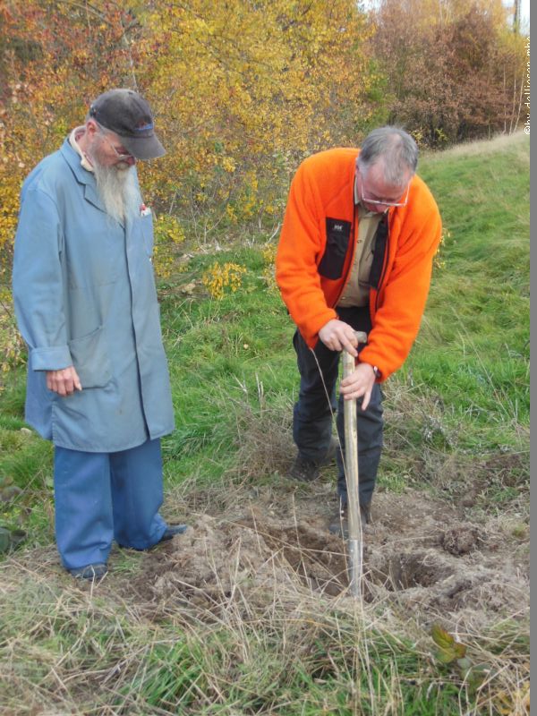 05.11.2015: Baumpflanzung