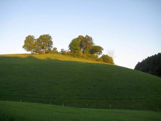 24.05.2009: Frühwanderung