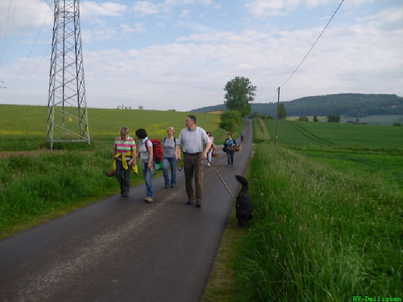 05.2012: Tannenspitzensammeln