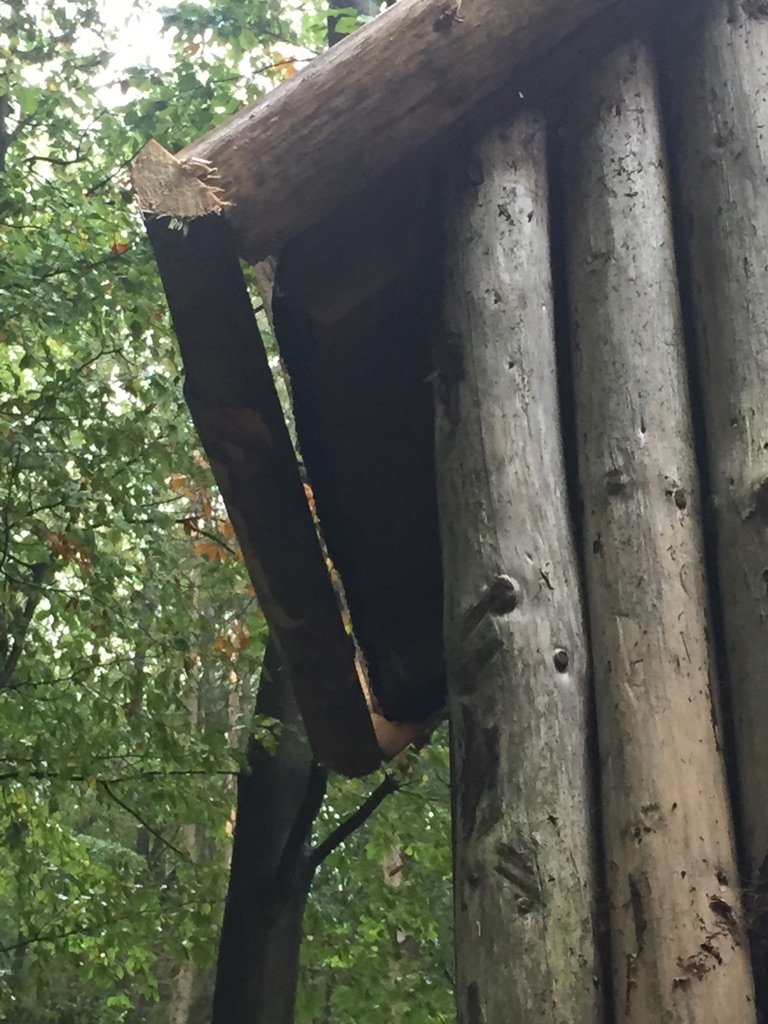 Sept.-Nov. 2021: Renovierung Köhlerhütte