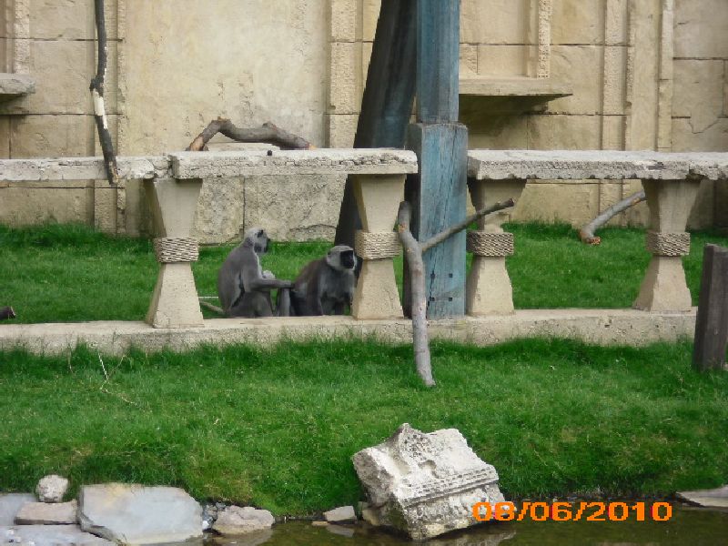 08.06.2010: Ü50-Gruppe macht Fahrt ins Blaue...