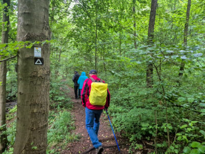 1. Auf dem Ith-Hils-Weg durch den regennassen Wald