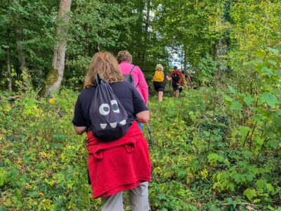Auf Naturpfaden durch den Wald