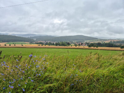12. Blick über Wiesen und Felder auf Gerzen