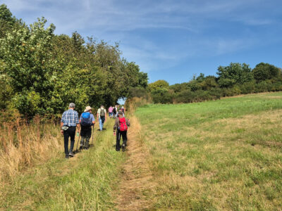 Zwischen Wiese und schattigem Gehölz