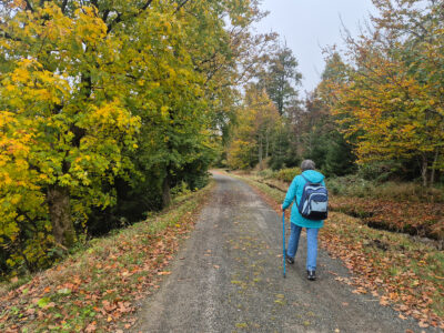 Herbstfarben säumen unseren Weg.