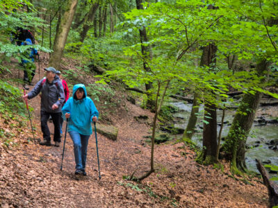 2. Entlang der Glene in Richtung Lippoldshöhle