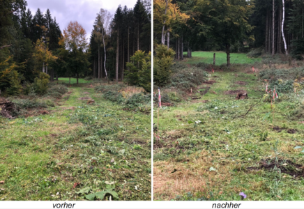 Ferienpass-Aktion Herbst 2023