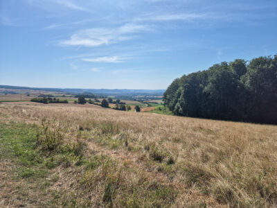 Blick auf Einbeck