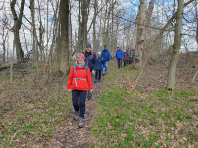 Auf Naturpfaden durch den Wald