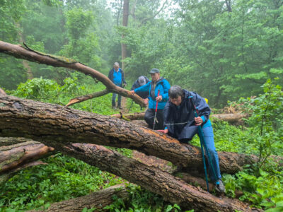 Auf dem Ith-Hils-Weg wird jede Etappe zum kleinen Abenteuer