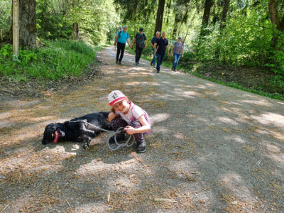 Auf der Wanderung wurde eine dicke Freundschaft geschlossen