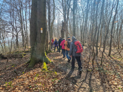 Auf schmalem Pfad durch den Wald