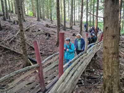 Auf Schmalem Steg durch den Wald