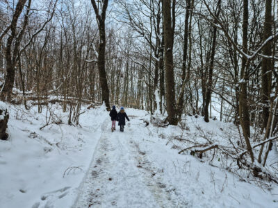 Auf schmalem Weg durch den bewaldeten Röhnberg