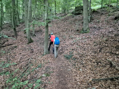 Auf schmalen Pfaden durch den Wald