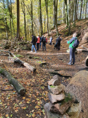 Aufgetürmte Steine im Ilsetal