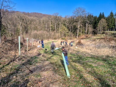Baumpflanzaktion im Hagental