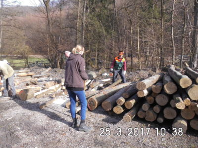 23.04.2017: Meilerbau