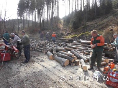 23.04.2017: Meilerbau