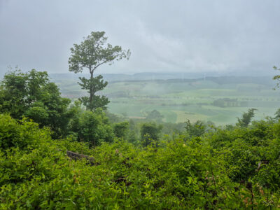 Die Fernsicht ins Weserbergland blieb uns verwehrt