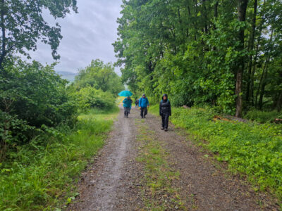 Dieser Weg führt uns hinauf zum Hilskamm