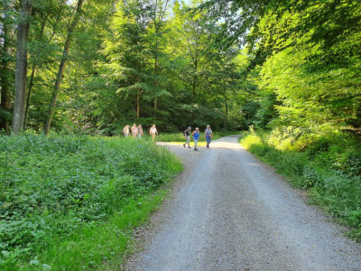 Frühwanderung