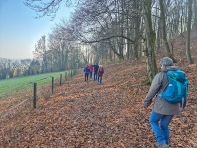 Gemeinsam unterwegs am Waldrand