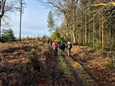 Gemeinsam unterwegs auf schönen Waldwegen
