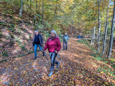 Herbstlaub unter den Füßen