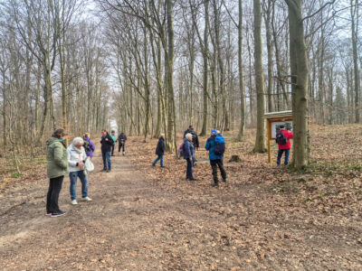 Im Wald sind mehrere Info-Tafeln aufgestellt