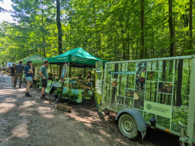 Informationen rund um Wald und Forstwirtschaft.