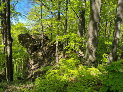 Klippen auf dem Ith-Hils-Weg