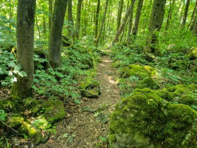Klippen säumen den Weg – Ein eindrucksvoller Naturpfad entlang des Kammwegs