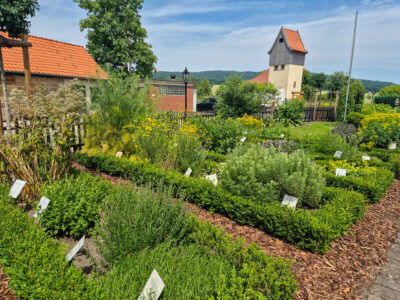 Kräutergarten