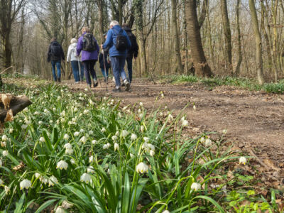 Märzenbecherwanderung