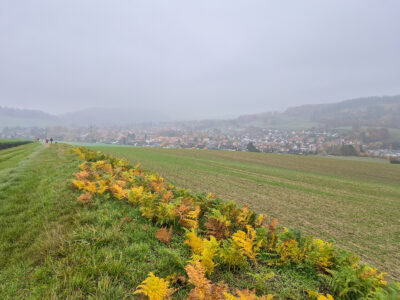 Rückweg – Delligsen taucht aus dem Dunst auf