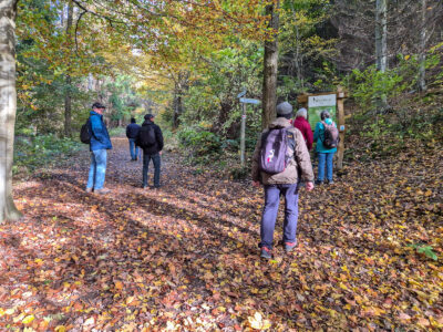 Tafeln helfen bei der Orientierung im WeltWald