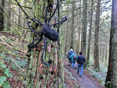 Unerwartete Begegnung im Wald