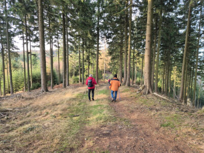 Unterwegs auf dem Kammweg