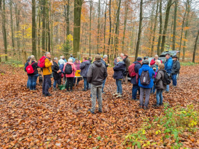 Verpflegungsstation im Wald